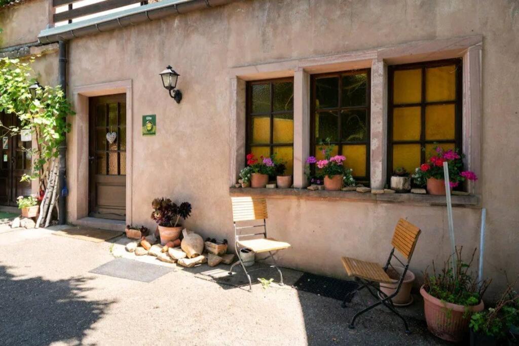 Gite L'Oeuf Ou La Poule, Parking Prive, Sur Domaine Viticole Ribeauvillé Екстериор снимка